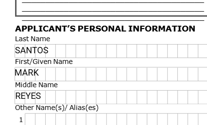 Text fields filled with applicant name information